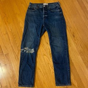 Everlane Cheeky Jean 28R